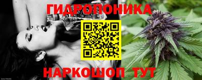 СК Балаково