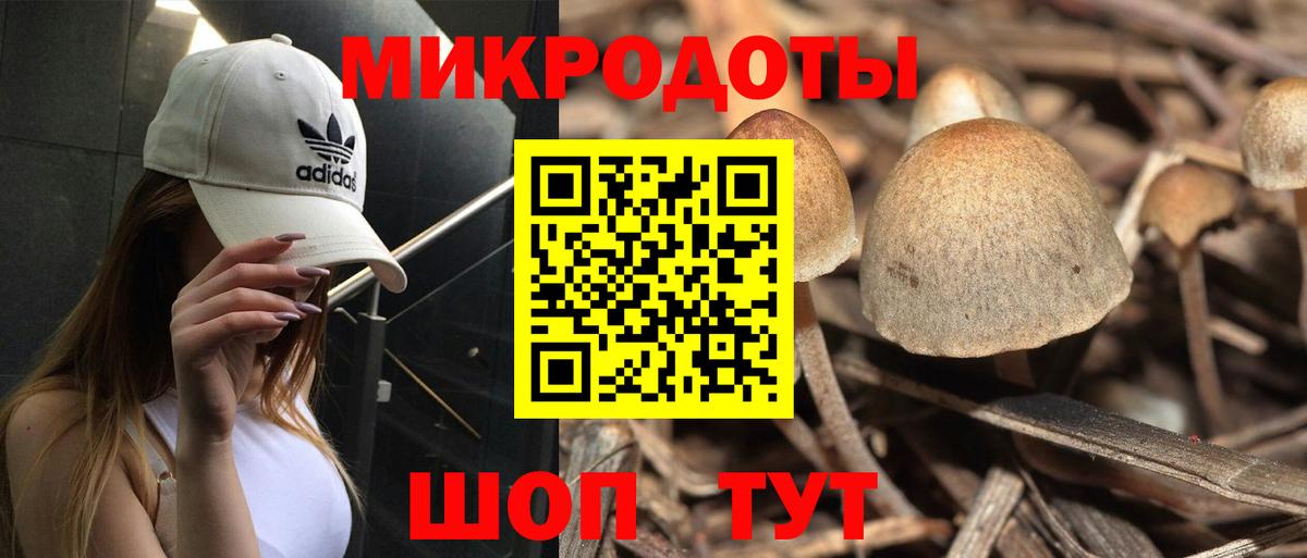 Галлюциногенные грибы прущие грибы  Вход с VPN  Долгопрудный 