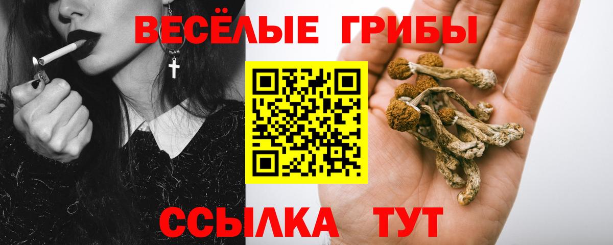 Галлюциногенные грибы Psilocybine cubensis Долгопрудный